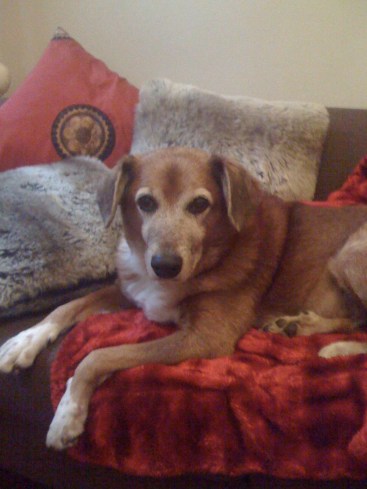 Morris the King 1994 - 2011