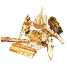 Pinus succinefera - the fossil - also possibly Baltic amber