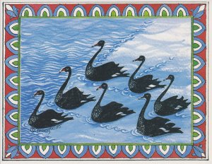7 Swans swimming by Tracy Watt - pic via www.redbubble.com 