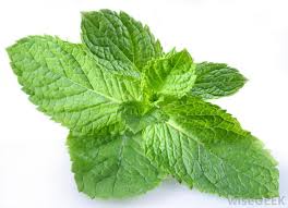 Ah lovely peppermint - pic via thebodyhut.com.au