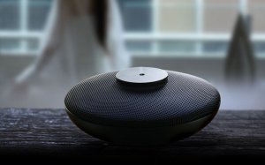 Sexy black diffuser from puzhen.com