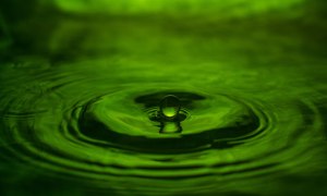 One drop leads to many ripples...