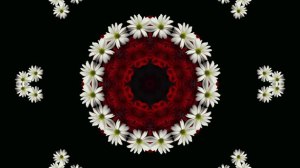 Accept you are part of a simple (yet complex) existence