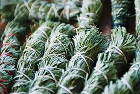 Cedar smudge sticks - pic via www.livingwild.org
