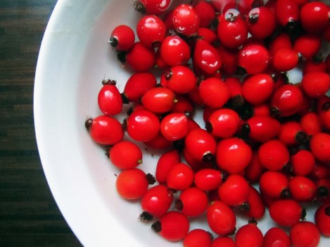 Stunning rosehips - pic via the-grazer.blogspot.com