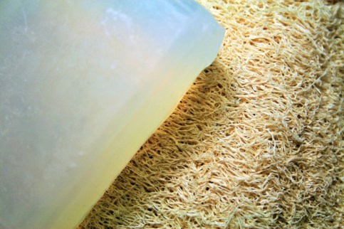 Loofah with soap. The grainy texture of the loofah is why people use it for skin scrubbing