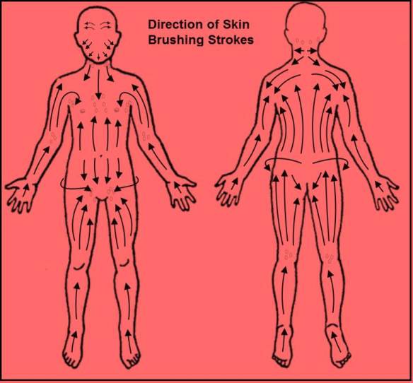 Easy dry brushing guide - pic via www.fengshuidana.com