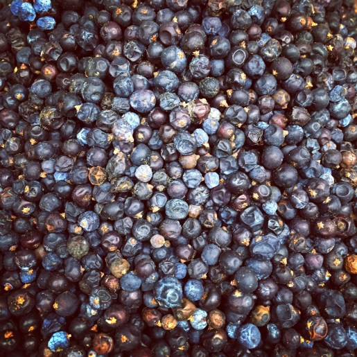 Juniper berries at the spice market