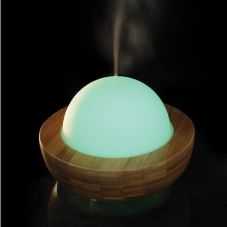 Bamboo and lamp diffuser from - http://aromatherapydirect.com.au/products/glass-bamboo-dome-diffuser