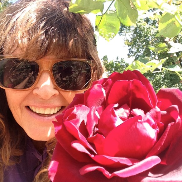 A different rose, in the same park, about 2 years ago