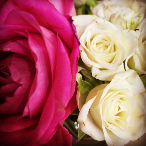 A bunch of mixed roses in a cafe. The large pink rose had a mild scent but the little white ones didn't