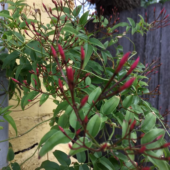 bursting with goodness