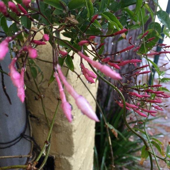 A bit blurry but still cute