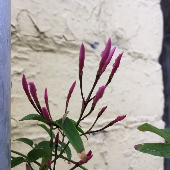 Come on little ones!